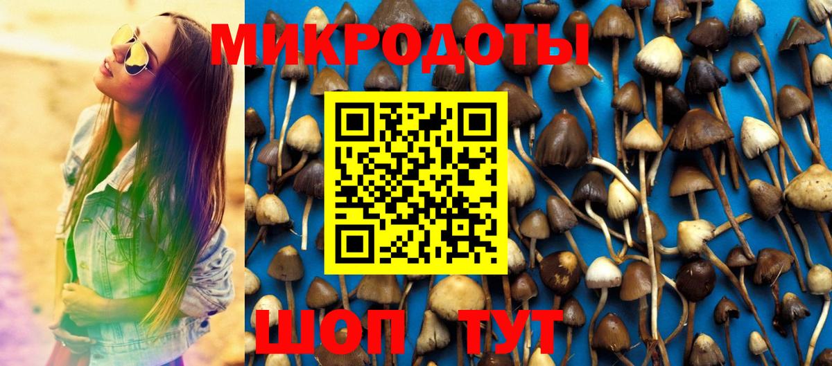 Псилоцибиновые грибы мицелий Анжеро-Судженск