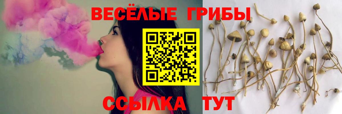 Псилоцибиновые грибы мицелий  Вход с VPN  Анжеро-Судженск 
